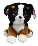 Ty Beanie Baby - Roscoe the Bernese Mountain Dog, Glitter Eyes