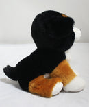 Ty Beanie Baby - Roscoe the Bernese Mountain Dog, Glitter Eyes