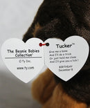 Ty Beanie Baby - Tucker the German Shepherd, Solid Eyes