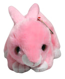 Ty Beanie Baby - Walker the Pink Bunny, Solid Eyes