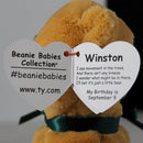 Ty Beanie Baby - Winston the Teddy Bear, 30th Anniversary