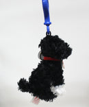 Ty Beanie Baby (Plastic Key Clip) - Bo the Patriotic Portuguese Water Dog