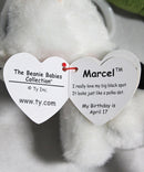 Ty Beanie Baby (Plastic Key Clip) - Marcel the French Bulldog