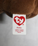 Ty Beanie Baby (Plastic Key Clip) - Pooky the Bear