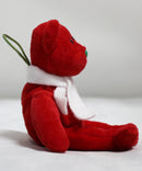 Ty Jingle Beanies - Lil' Frosts the Red Christmas Bear, Walgreens Exclusive