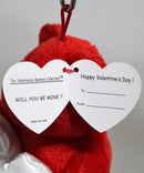 Ty Valenteenies (Key Clip) - Will You Be Mine? the Valentine's Teddy Bear