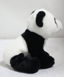 Ty Wildz- Beijing the Panda, Solid Eyes