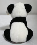 Ty Wildz- Beijing the Panda, Solid Eyes