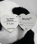 Ty Wildz- Beijing the Panda, Solid Eyes