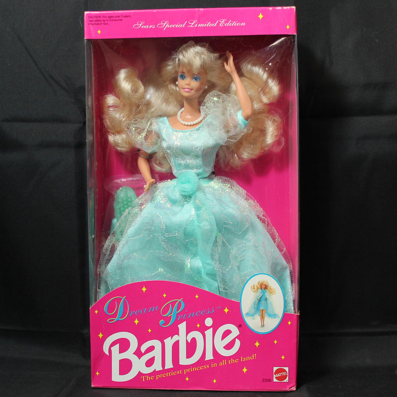 Barbie's Dream of Being a Princess