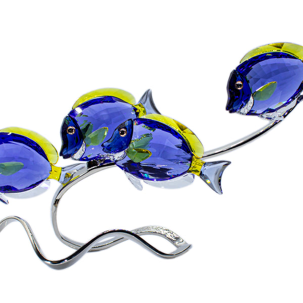 Swarovski Figurine: 1034023 Surgeon Fish