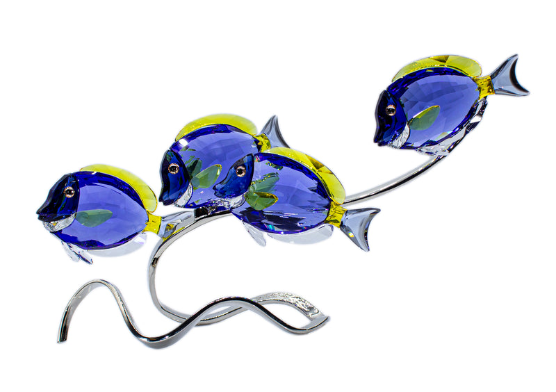 Swarovski Figurine: 1034023 Surgeon Fish