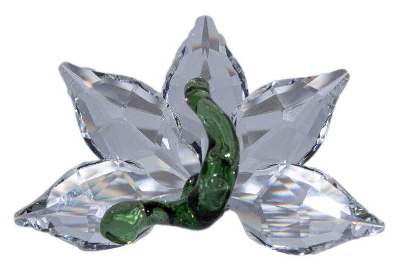 Swarovski Crystal: 1142858 Renewal Orchid