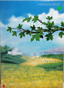 1996 Summer Splendor Barbie (15683)