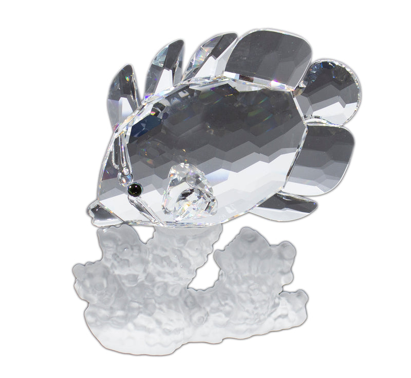 Swarovski Crystal: 162888 Butterfly Fish