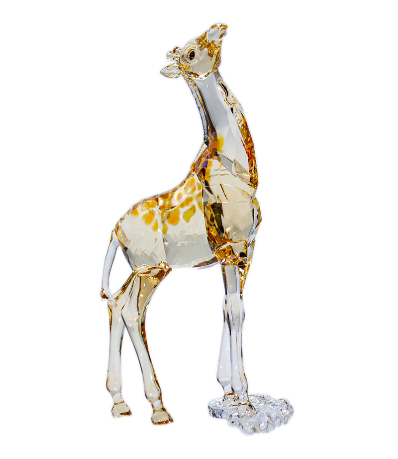Swarovski Figurine: 5302151 Baby Giraffe