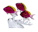 Swarovski Figurine: 5428652 Paradise Anthias Trio Fish