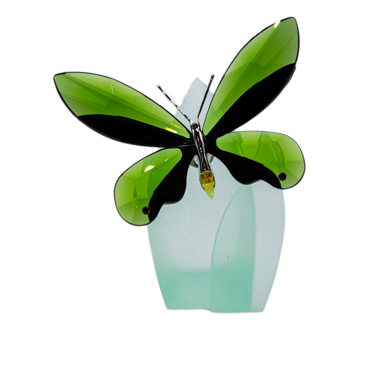Swarovski Figurine: 622739 Anamosa Butterfly - Moss Green