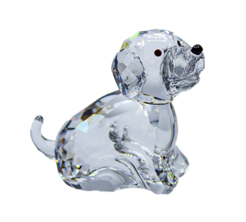 Swarovski Crystal: 622843 Zodiac Dog