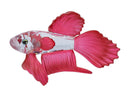 Swarovski Figurine: 660941 Siamese Fighting Fish
