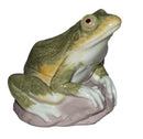 Lladró Figurine: 6702 Nature's Observer