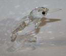 Swarovski Crystal: 119433 Kingfisher