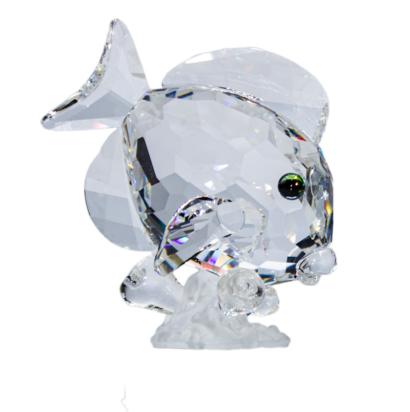 Swarovski Figurine: 883822 Blue Tang Fish - Clear