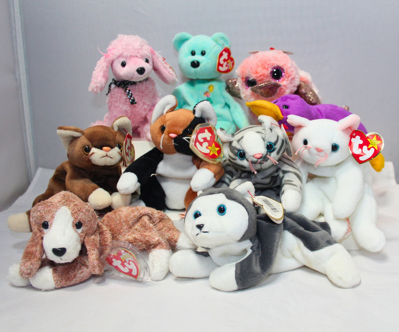 Lot of 10 Beanie Babies | Non-Mint Tags | Boos, Cats, Dogs, & More