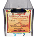 Authenticated Beanie Baby: 3rd Generation Ally the Alligator