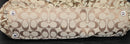Coach Purse: F13743 Brown Soho Shoulder Bag