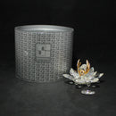 Swarovski Crystal: 7553NR100 Butterfly in Flight - As Is Figurine