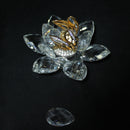 Swarovski Crystal: 7553NR100 Butterfly in Flight - As Is Figurine