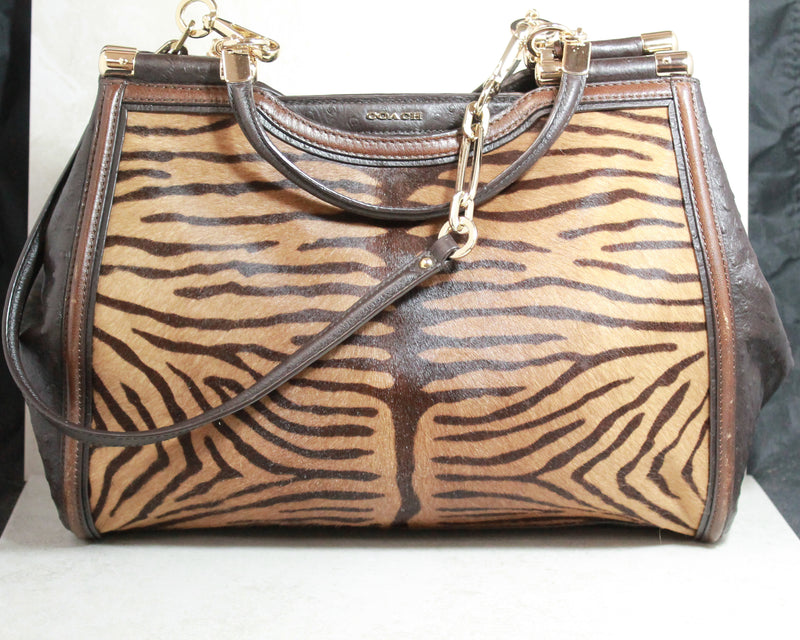 Small Coach purse with gold chain strap | Animal print purses, Printed purse,  Coach purses