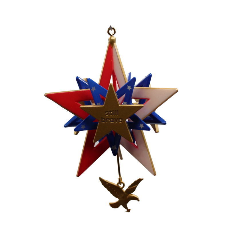 Hallmark Ornament: 2010 Proud, Brave, and Free