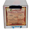 Authenticated Beanie Baby: 3rd Generation Squealer the Pig - 1st gen tush tag