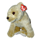 Ty Buddy: Almond the Bear