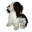 Ty Buddy: Frolic the Springer Spaniel