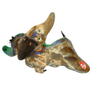 Ty Buddy: Swoop the Pterodactyl