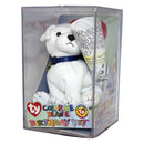 Ty Beanie Baby: Color me Beanie - Birthday Dog Kit