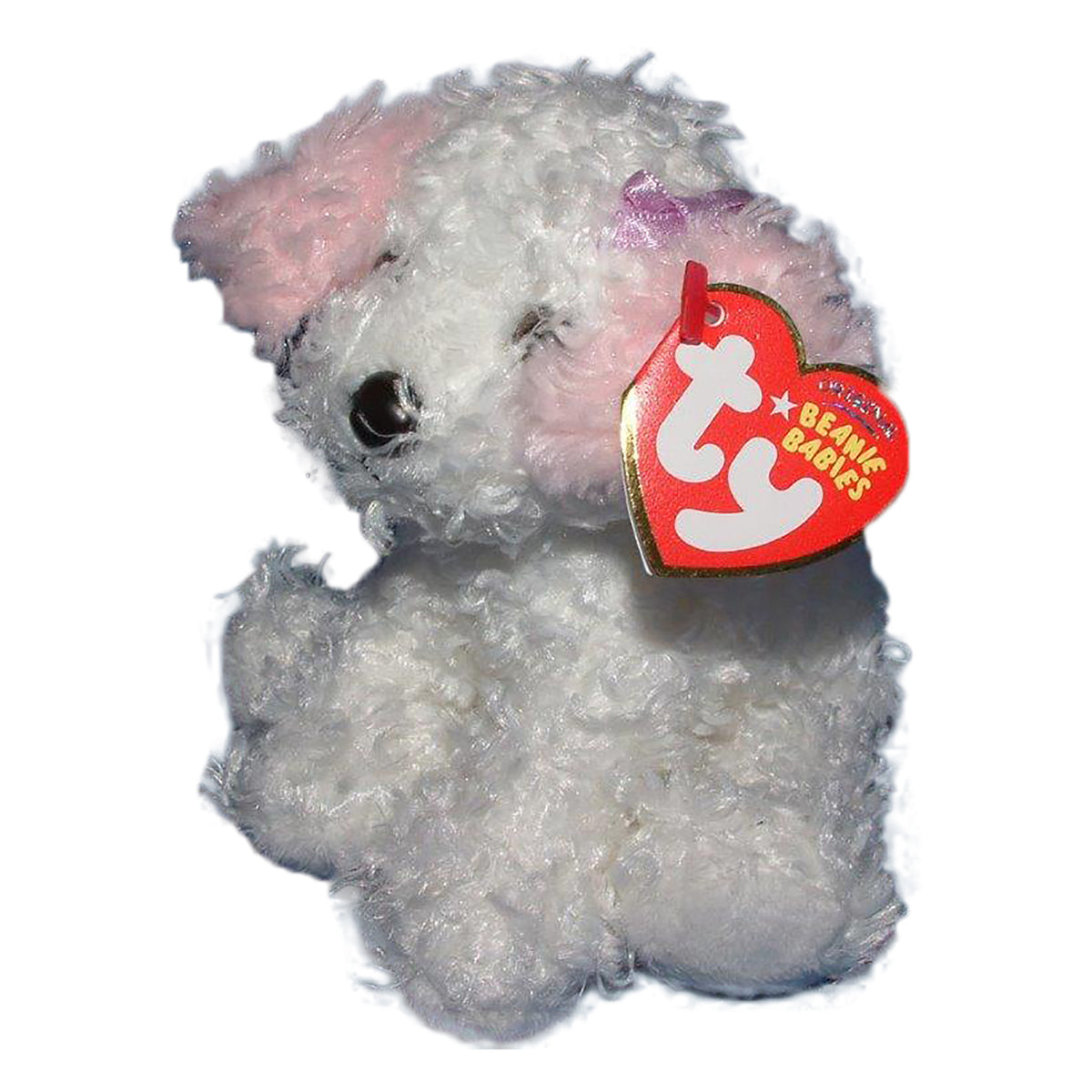 tybb_Sugarpup_a38b0bf7-67d4-