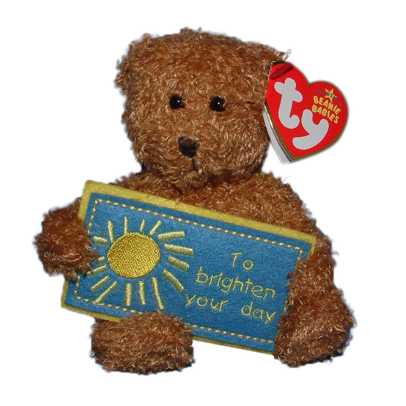 Ty Beanie Baby: To Brighten Your Day the Bear