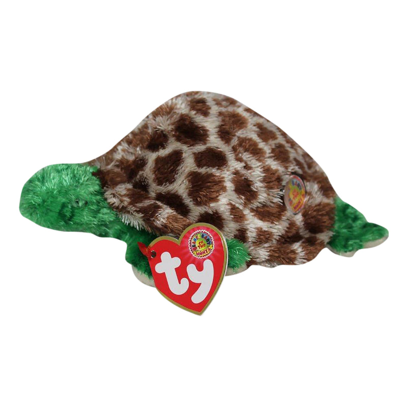 Ty Beanie Baby: Tortuga the Turtle BBOM July 2006