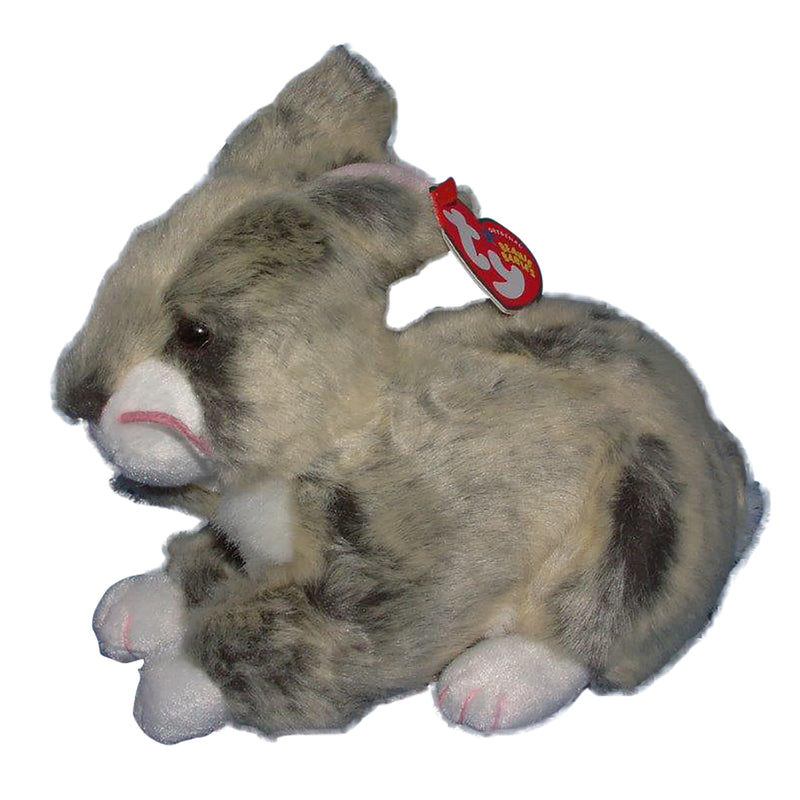 Ty Beanie Baby: Winksy the Bunny
